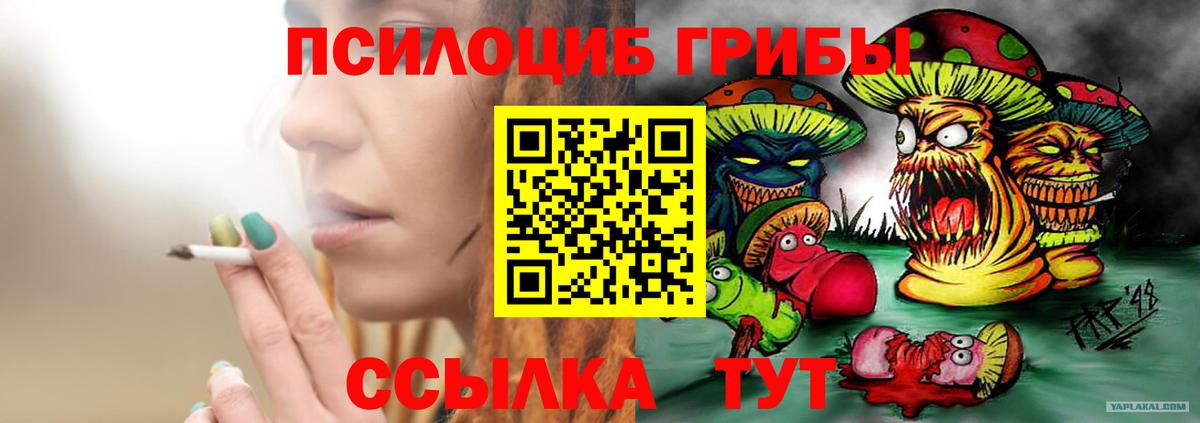 Псилоцибиновые грибы мухоморы  Вход с VPN  наркота  Рассказово 